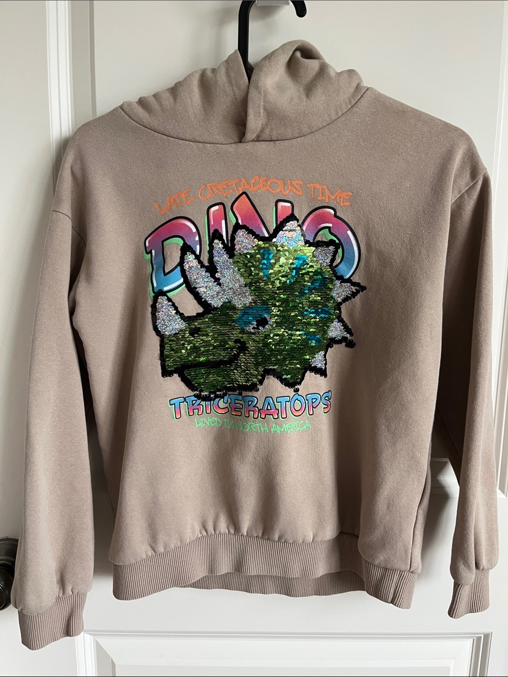 H&M Taupe Crewneck Sweater with Green Sequin Triceratops Graphic